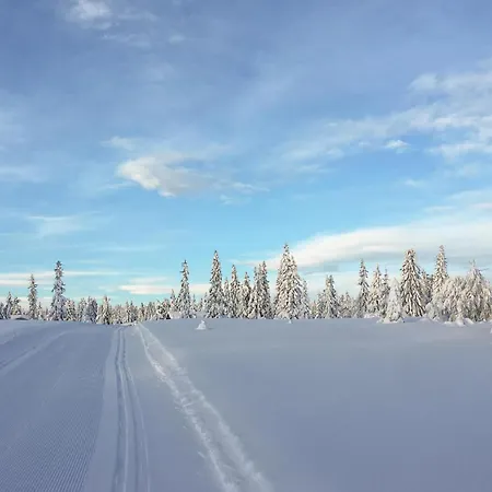 Сasa de vacaciones Lovely In With Wifi *