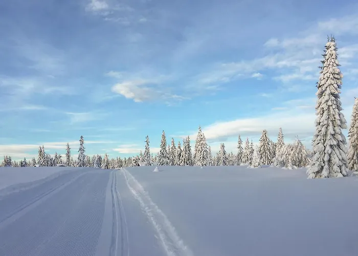 بيت للعطل Lovely In With Wifi *